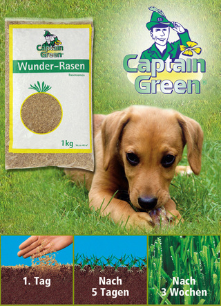 Wonder-graszaden