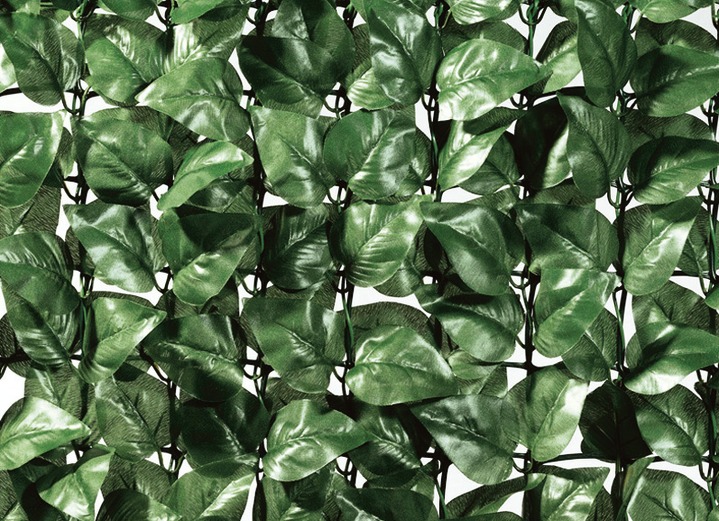 Inkijk- en zonwering - Praktisch privacyscherm van stevig kunststofgaas, in Farbe GROEN, in Ausführung Laurier Ansicht 1