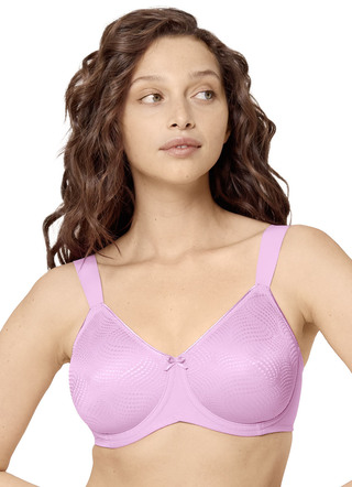 Triumph-Essential Minimizer beugel-bh