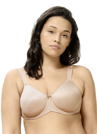 Triumph-Essential Minimizer beugel-bh