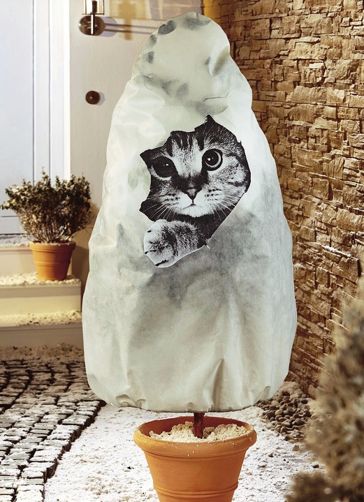 Winterlicher Garten - Winterschutz Vlieshaube mit Katzen-Motiv, in Farbe BEIGE