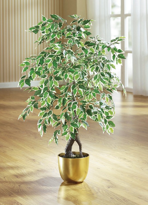 Kunst- & textielplanten - Ficus in pot, in Farbe , in Ausführung groot Ansicht 1