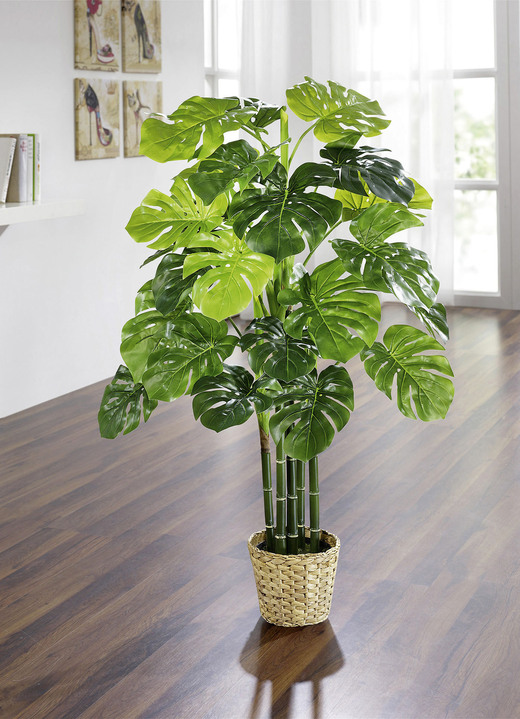 Kunst- & textielplanten - Monstera in pot, in Farbe GROEN, in Ausführung Totale hoogte ca. 100 cm