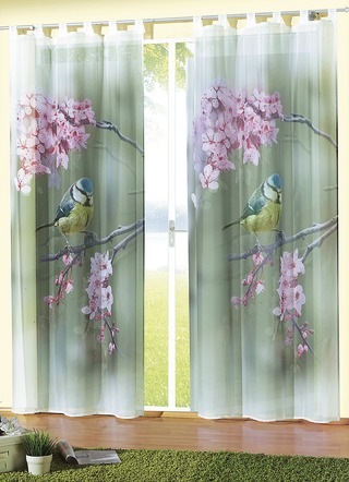 Raamdecoratie met blauw mees motief