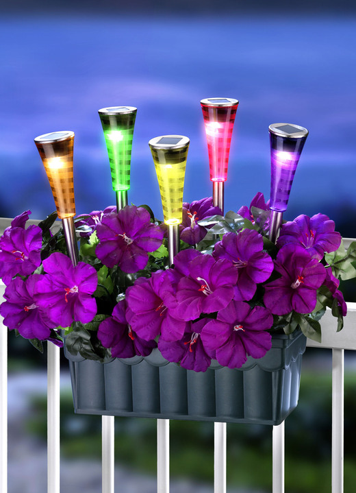 Tuinverlichting - Tuinsteker op zonne-energie, set van 5, in Farbe MULTI Ansicht 1