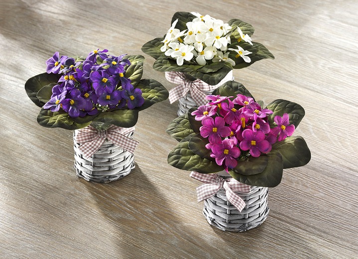 Kunst- & textielplanten - Viooltjes, set van 3, in Farbe