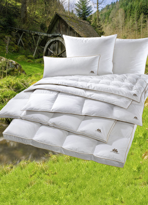 Dekbedden e.d. - Donzen dekbed uit het Zwarte Woud van OBB, in Größe 103 (Bed, 135/200 cm) bis 403 (4-delige voordeelset), in Farbe WIT, in Ausführung Licht Ansicht 1