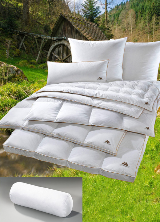 Dekbedden e.d. - Zwarte Woud dons programma van OBB, in Größe 103 (Bed, 135/200 cm) bis 403 (4-delige voordeelset), in Farbe WIT, in Ausführung Kussen