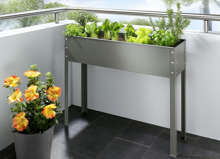 Plantenbakken - Metalen hoogslaper van verzinkt en gepoedercoat staal, in Farbe GRIJS, in Ausführung Metalen hoog bloemenbed, breed
