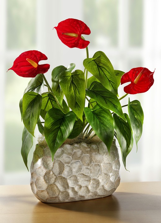 Kunst- & textielplanten - Anthurium in schaal, in Farbe GROEN-ROOD