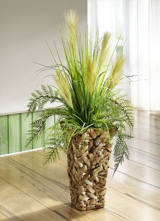 Rietgras in pot