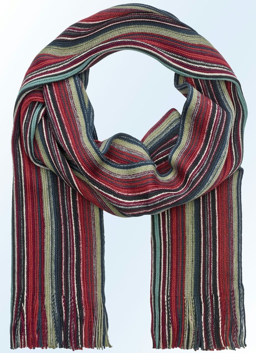 Sjaals - Mooie gestreepte sjaal, in Farbe ROODBRUIN-PETROL-LILA-ZWART-ZACHTGROEN GESTREEPT Ansicht 1