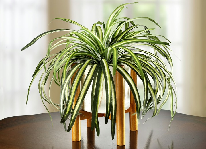 Kunst- & textielplanten - Groene lelie in pot, in Farbe GROEN