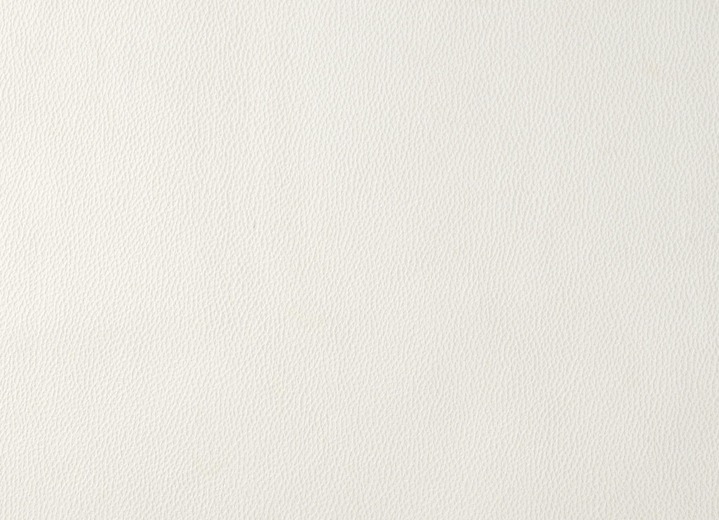- Diervriendelijke beschermdekens voor fauteuils en banken, in Größe 100 (Kussen, 50 x 90 cm) bis 865 (2 armleuningbeschermers, 38 x 55 cm), in Farbe CRÈME