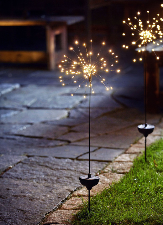 Tuinverlichting - LED-zonnestekker, in Farbe ZWART