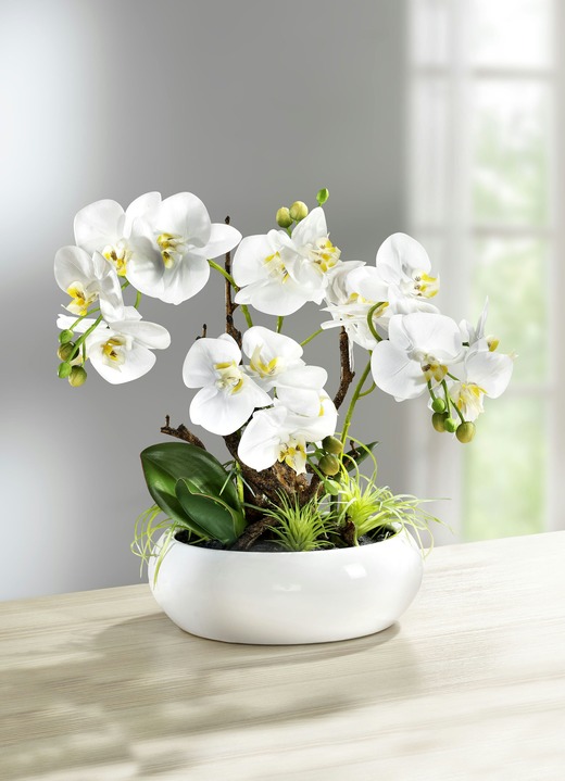 Kunst- & textielplanten - Orchidee in keramische pot, in Farbe WIT-GROEN