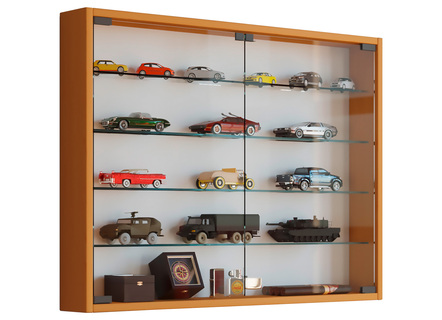 Wandvitrine voor verzamelaarsobjecten