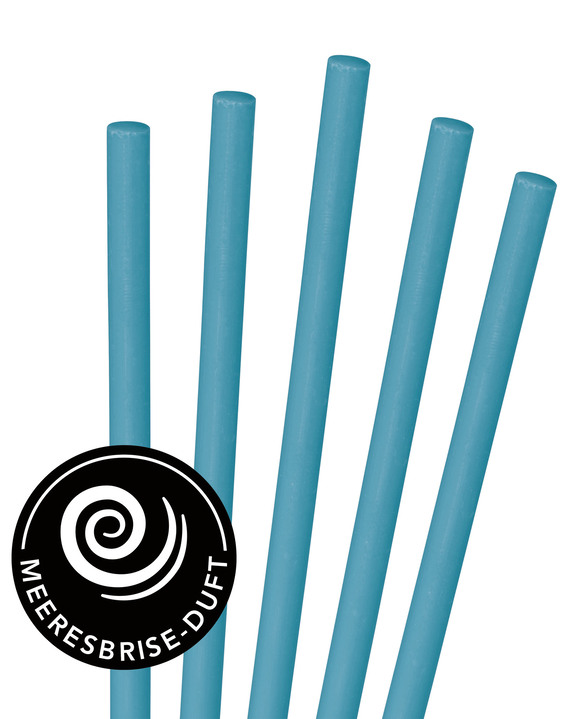 Schoonmaakartikelen & schoonmaakmiddelen - Drain Cleaner Sticks - houd uw afvoer vrij van aanslag en onaangename geuren, in Farbe BLAUW, in Ausführung sea breeze rioolreiniger sticks Ansicht 1