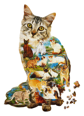 Puzzel van 1000 stukjes "KITTENS"