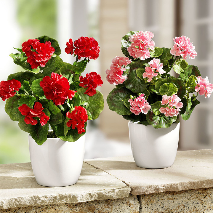 Kunst- & textielplanten - Geranium in de ceramische pot, in Farbe ROOD
