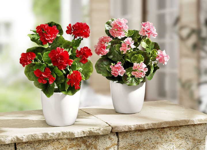 Kunst- & textielplanten - geranium in een keramische pot, in Farbe ROZE Ansicht 1
