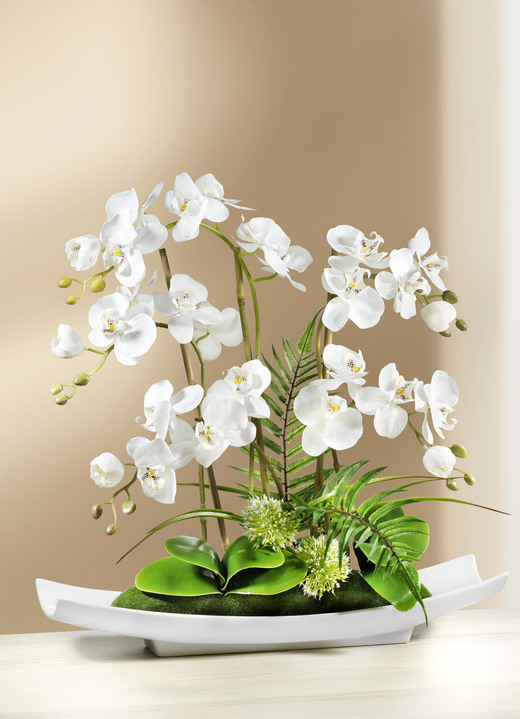 Kunst- & textielplanten - Orchideeënbloemstuk in schaal, in Farbe WIT Ansicht 1