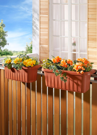 Balkonbox Rondine, set van 2