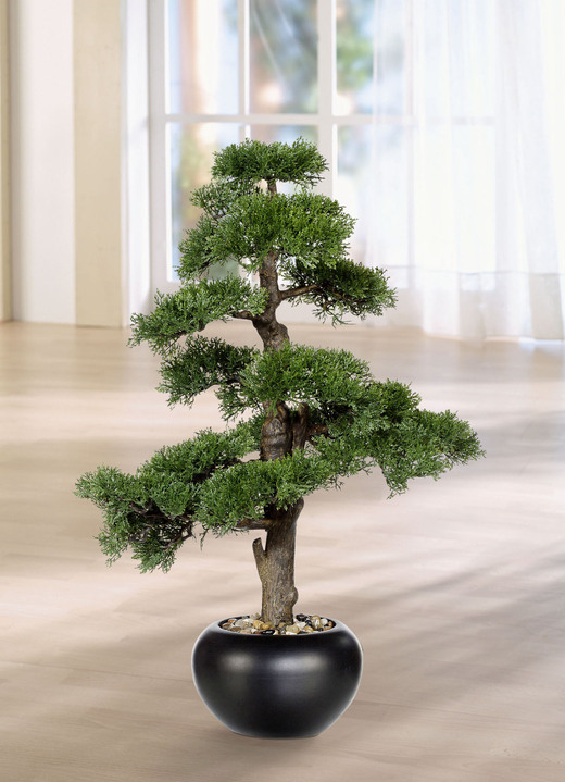 Kunst- & textielplanten - 70 cm hoge ceder bonsai, in Farbe GROEN
