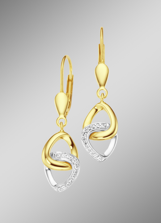 Oorbellen - Oorbellen in bicolor met 24 diamanten, in Farbe