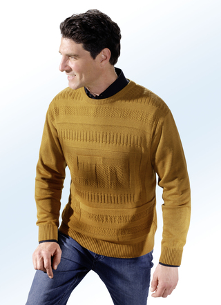 Smaakvolle crew neck trui in 2 kleuren