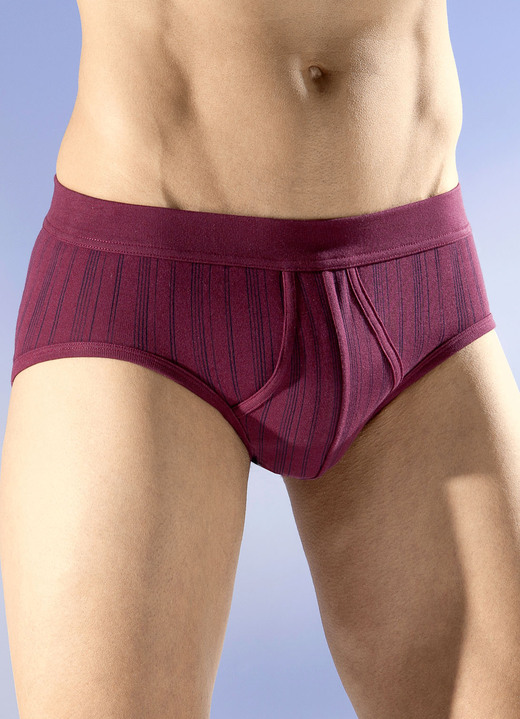 - Schiesser set van twee slips met een gestreept dessin, in Größe 005 bis 010, in Farbe 2X BORDEAUX