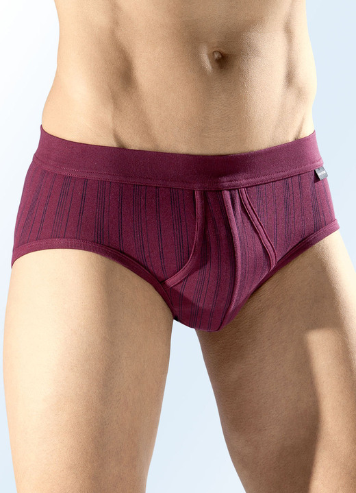 Slips & onderbroeken - Schiesser Two-pack slip met gestreepte, in Größe 005 bis 010, in Farbe 2X BORDEAUX Ansicht 1
