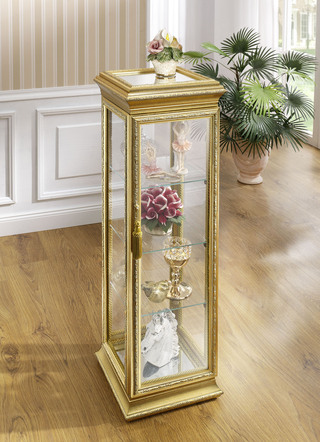 Vitrine van glas en massief hout