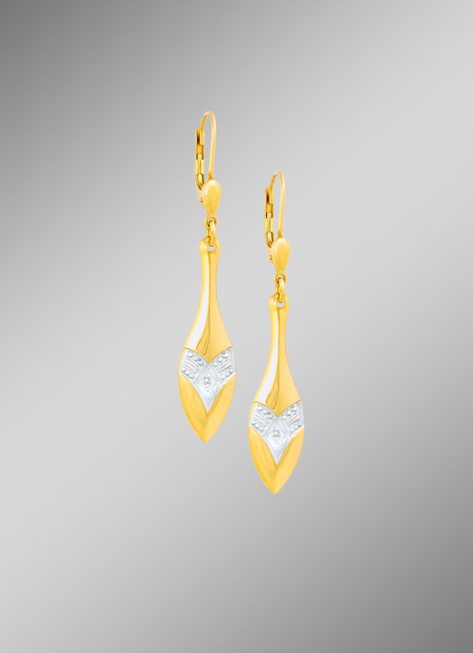 - Charmante oorbellen in bicolor met diamanten, in Farbe