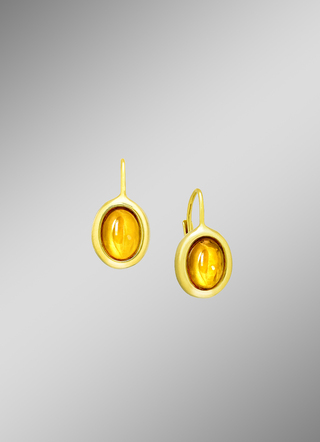 Tijdloze, elegante oorbellen met echt barnsteen