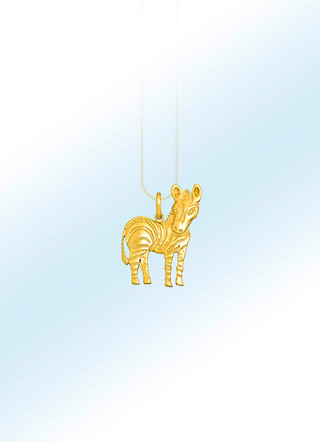 Gevormde "Zebra" hanger