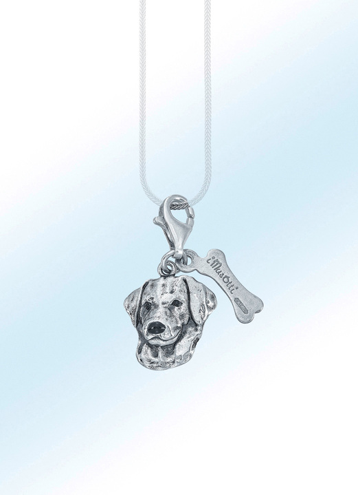 - Voor hondenliefhebbers: interessante Labrador hanger, in Farbe