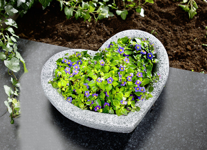 Plantenbakken - Hartvormige plantenschaal van weerbestendig polyresin, in Farbe GRIJS