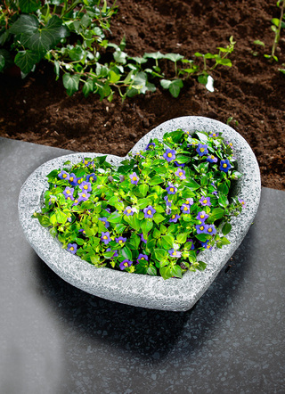 Hartvormige plantenschaal van weerbestendig polyresin