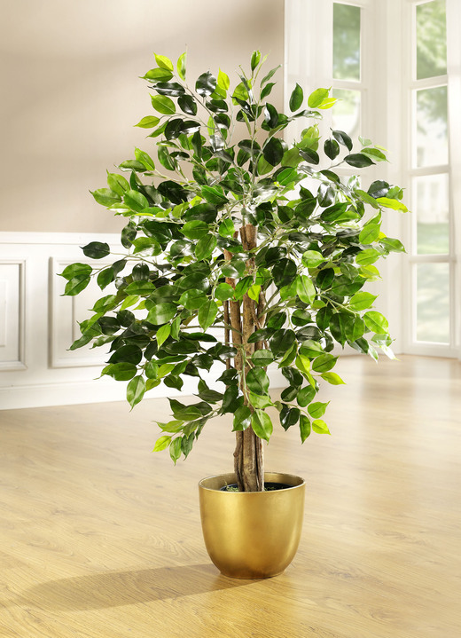 Kunst- & textielplanten - Ficus in pot, in Farbe GROEN, in Ausführung Klein Ansicht 1
