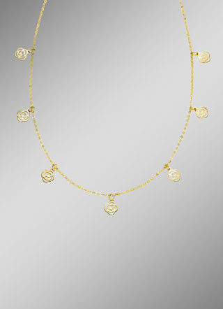 Geweldige ankerketting met rozen