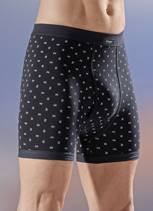 Slips & onderbroeken - Vier stuks broeken met gaas, in Größe 005 bis 011, in Farbe 2X MARINE-MEERKLEURIG, 2X MARINE-MEERKLEURIG