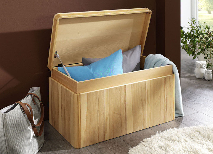 Kleine meubels - Veelzijdige kist met een geweldige moderne uitstraling, in Farbe KERNBEUKEN Ansicht 1