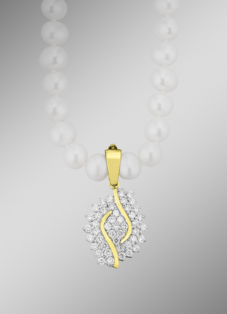Mooie hanger met clipoog