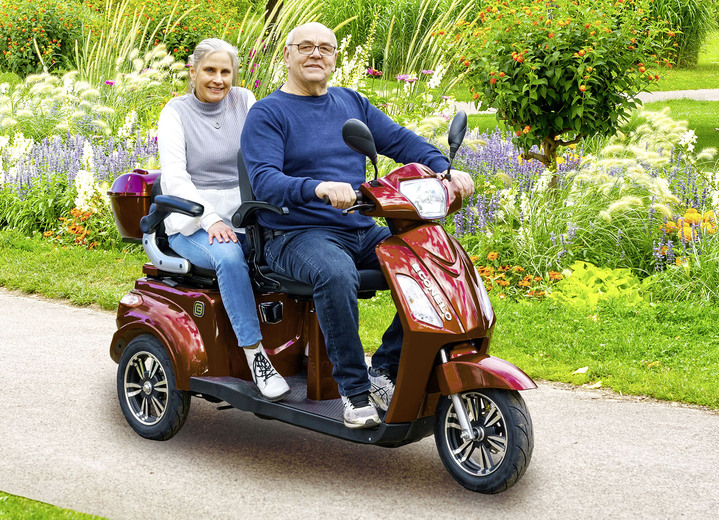 Elektrische mobile - Elektro-Dreiradroller von Econelo für 2 Personen, in Farbe ROT Ansicht 1