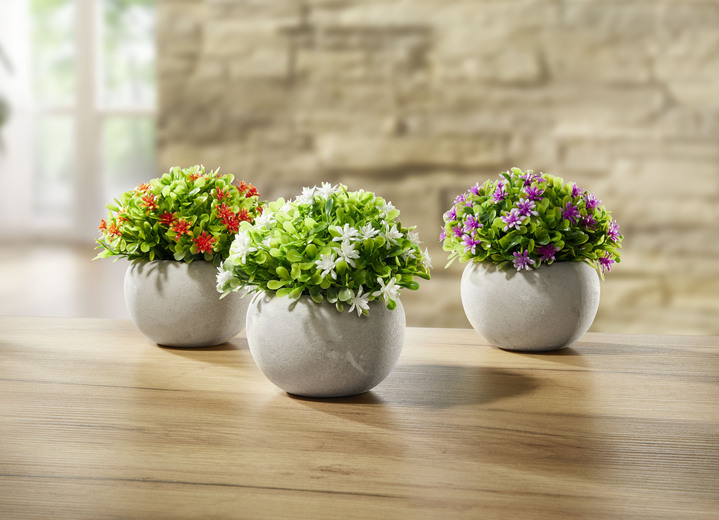 Kunst- & textielplanten - Mini bloemen, set van 3, in Farbe WIT-ORANJE-PAARS