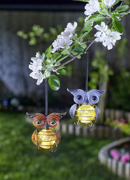 Tuindecoraties - Zonne-uilhanger, set van 2, in Farbe MULTICOLOR
