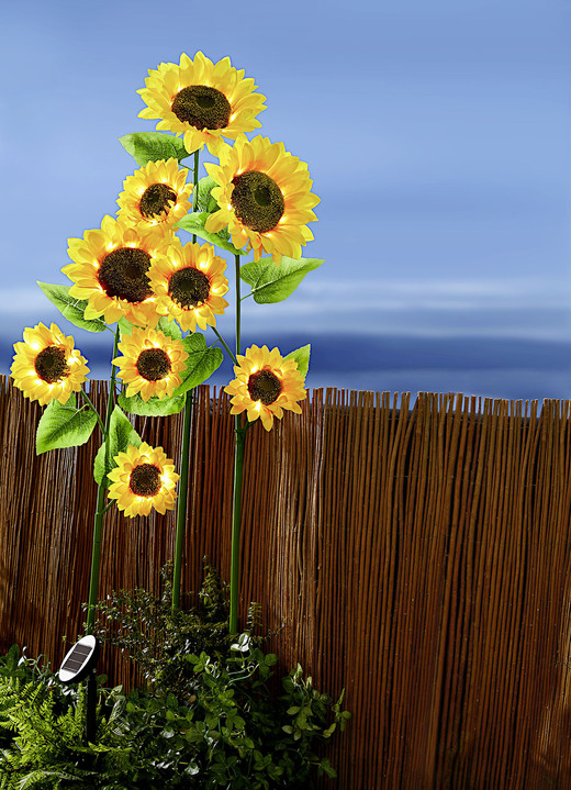 Tuinverlichting - XXL Zonnebloemen, in Farbe GEEL-GROEN-BRUIN