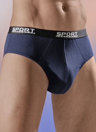 Pak van vier slipjes met elastische tailleband