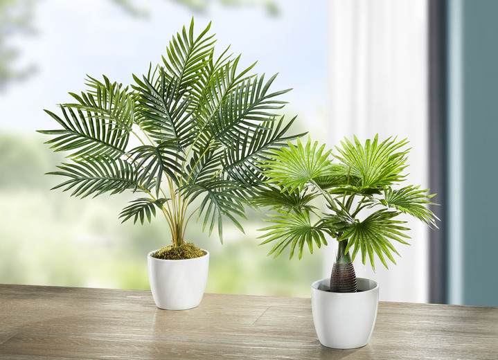 Kunst- & textielplanten - Palmbomen in pot, set van 2, in Farbe GROEN
